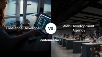 choosing between a freelance developer vs development agency