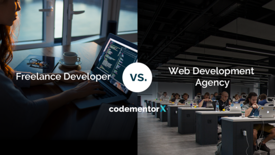 choosing between a freelance developer vs development agency