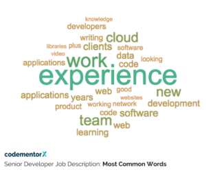 most common words in senior software developer job descriptions